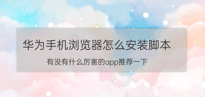 华为手机浏览器怎么安装脚本 有没有什么厉害的app推荐一下？